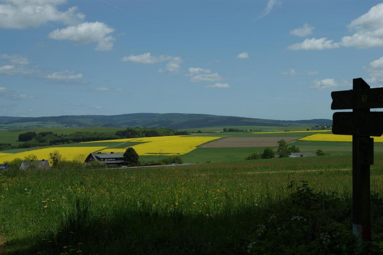 Klein'S Hochwaldscheune Pellingen Bagian luar foto